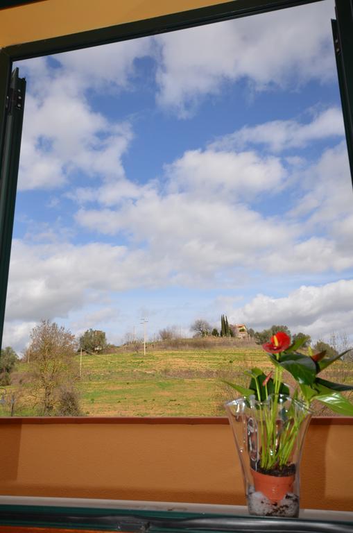 8380 Mastro Montemerano
